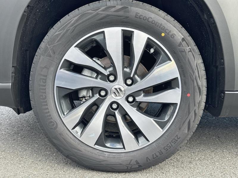suzuki - Visuel 6